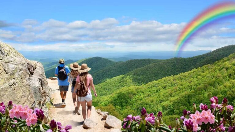 Charlotte to Greensboro most popular destination